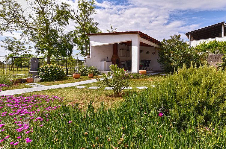 Appartement Apartment 1391