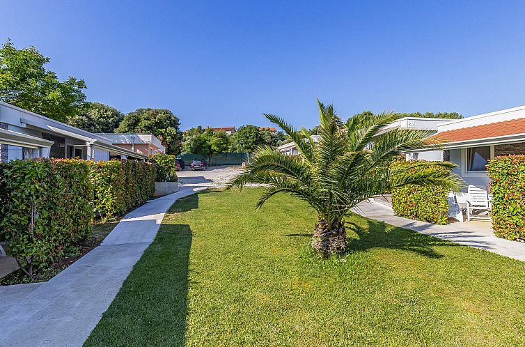 Vakantiehuis Mobile home Luxury Premium