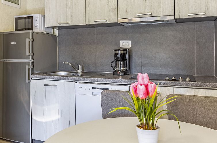 Vakantiehuis Mobile home Luxury Premium