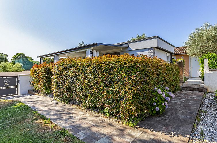 Vakantiehuis Mobile home Superior