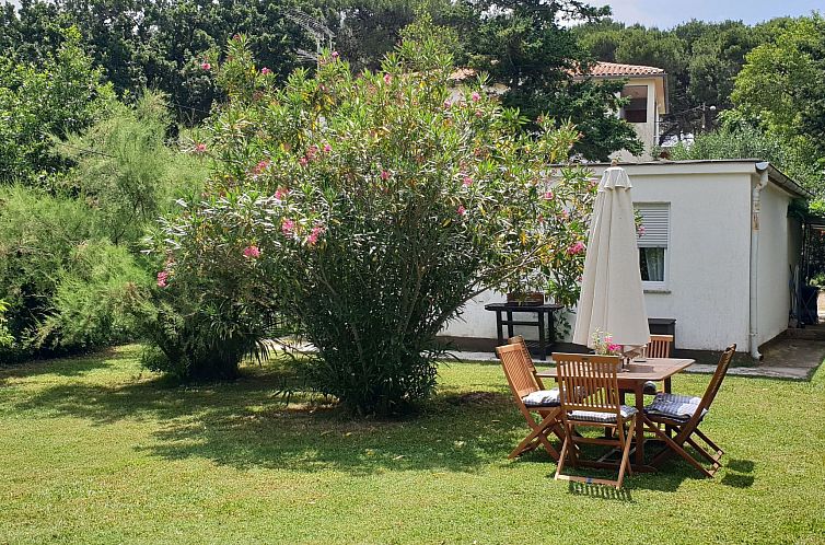 Unterkunft 10114538 - Ferienhaus Istrien - Vakantiehuis in Banjole mit Großem Garten
