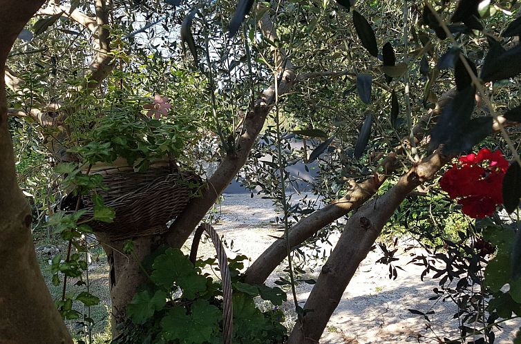 Vakantiehuis in Banjole mit Großem Garten