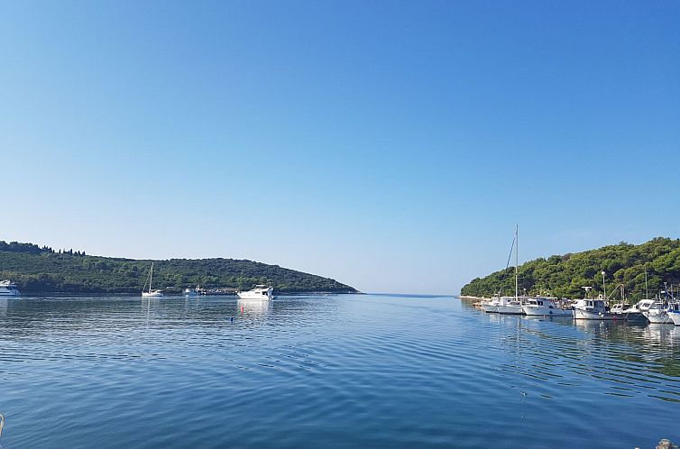 Vakantiehuis in Banjole mit Großem Garten
