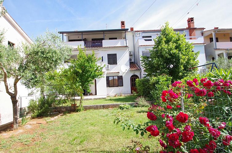 Unterkunft 10114543 - Appartement Istrien - Appartement "Stefanija"