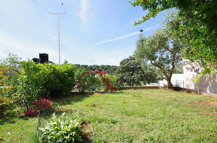 Appartement "Stefanija"