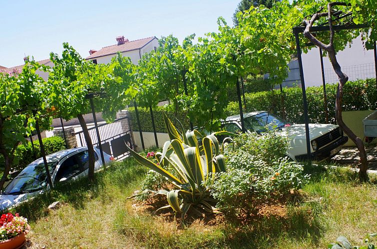 Appartement Wohnung in Pješčana Uvala, 500 m vom Strand en