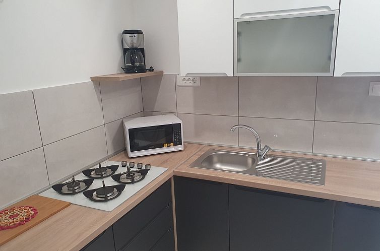 Appartement in Banjole mit Terrasse und Garten