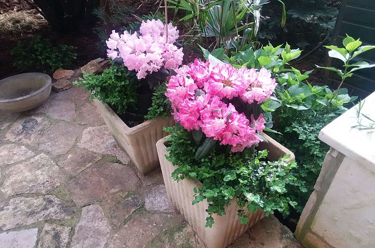 Appartement Apartment MaVeRo A3