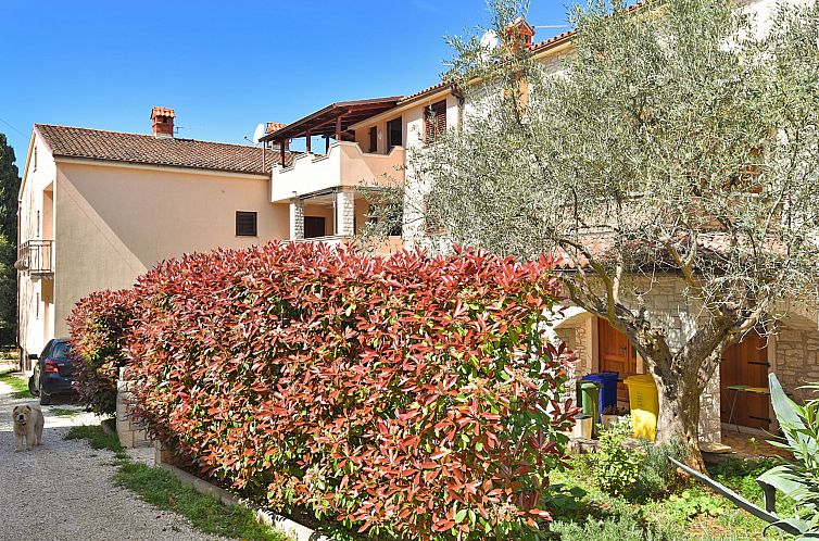 Unterkunft 10115194 - Appartement Istrien - Appartement Apartment 2315