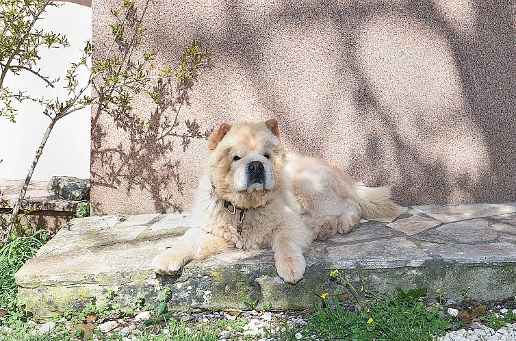 Appartement Apartment 2315