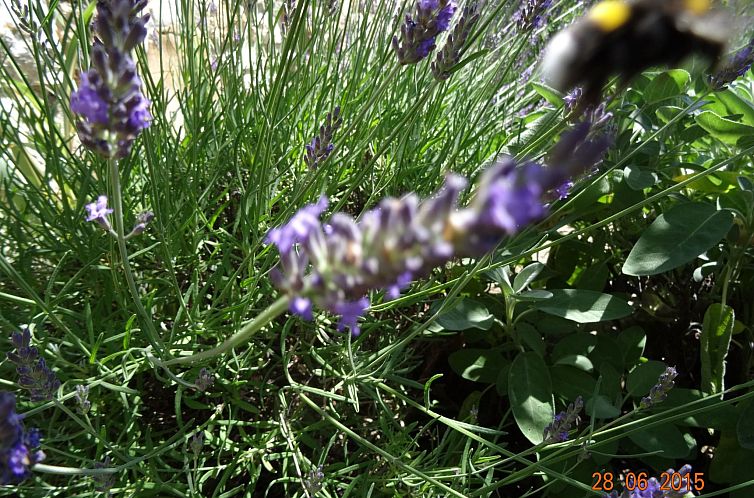 Vakantiehuis mit Privatpool für 6 Personen ca. 107 m&sup2; 