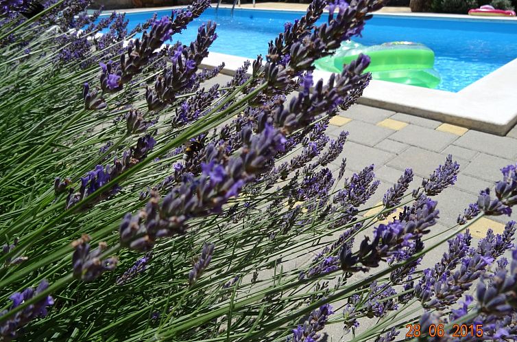 Vakantiehuis mit Privatpool für 6 Personen ca. 107 m&sup2; 