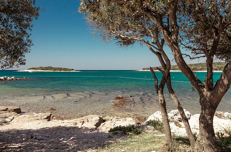 Vakantiehuis Mobilhome Beach Villa