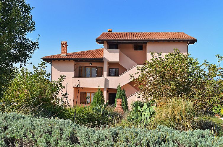 Appartement Apartment 1945