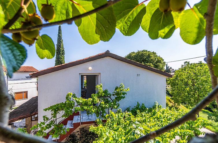 Appartement Apartment 1511