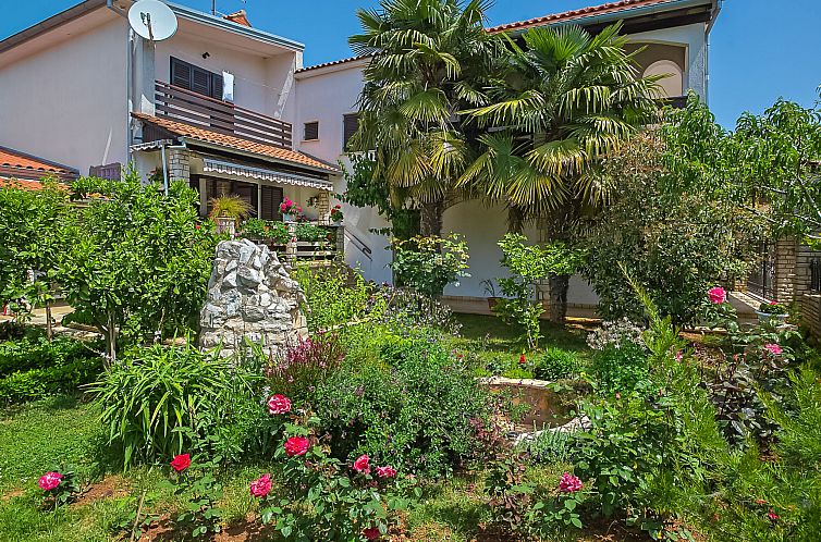 Guest house 10116805 - Apartment Istria - Appartement Danica