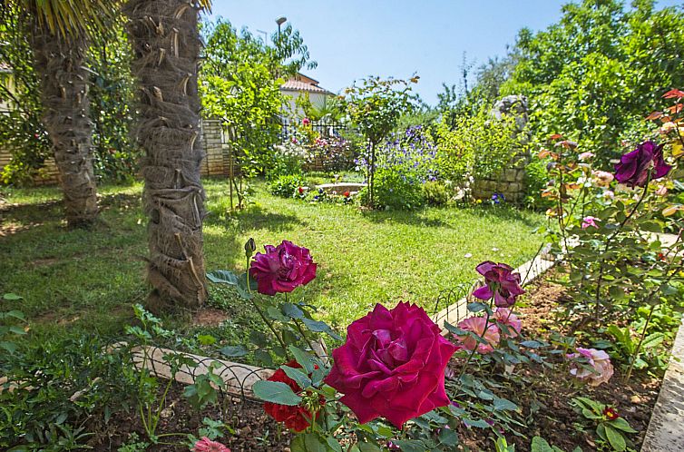 Appartement Danica