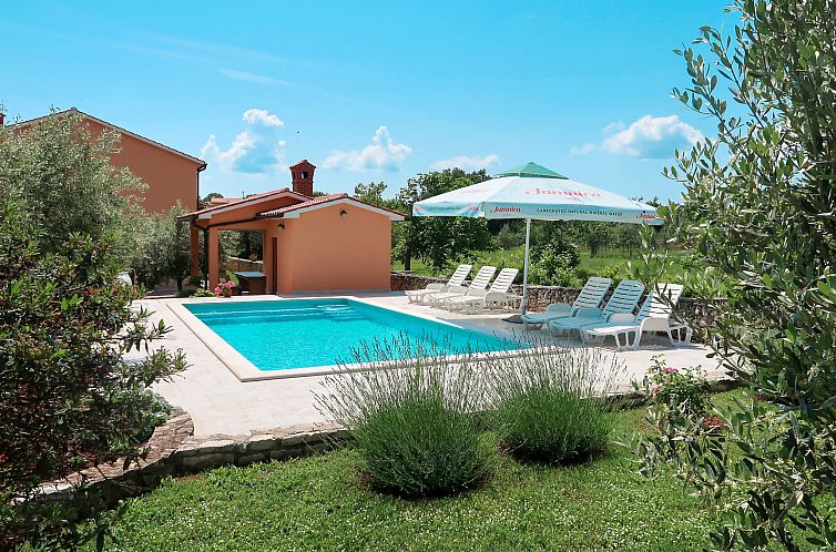 Guest house 10116904 - Apartment Istria - Appartement Rosa