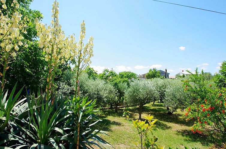 Vakantiehuis "Gracijela"