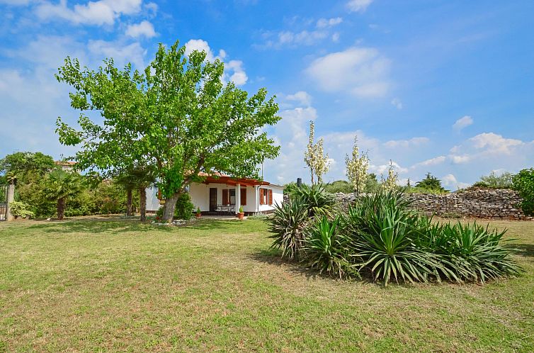 Unterkunft 10117902 - Ferienhaus Istrien - Vakantiehuis Ledi