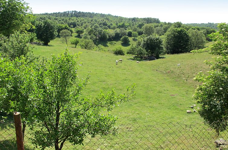Vakantiehuis Narcis
