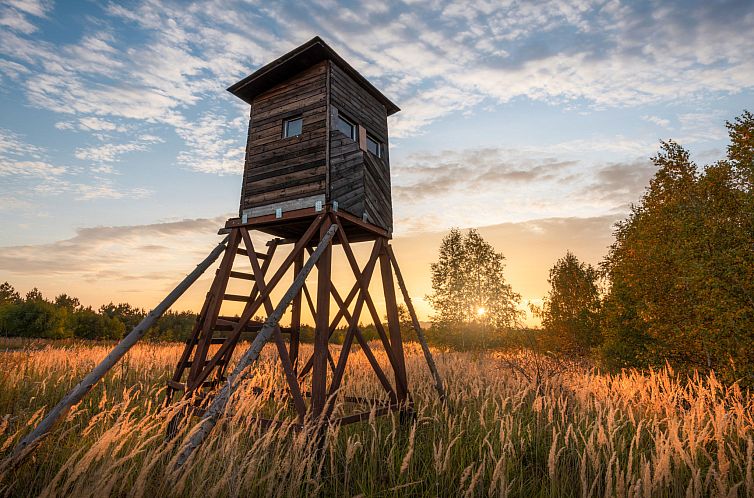 Vakantiehuis House Rea