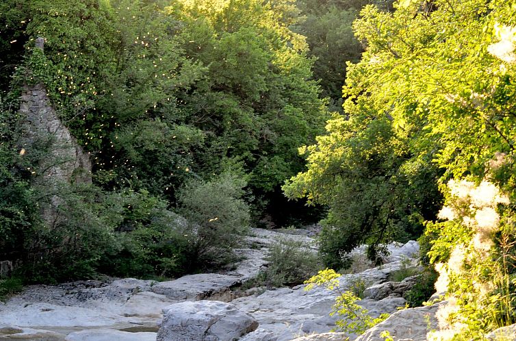 Vakantiehuis Istrien Traditionelles Steinhaus 8