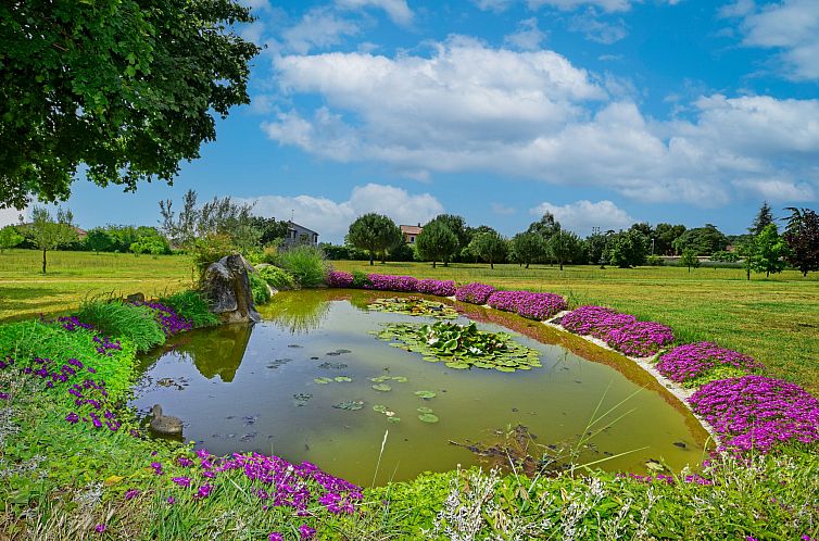 Vakantiehuis Glicinia