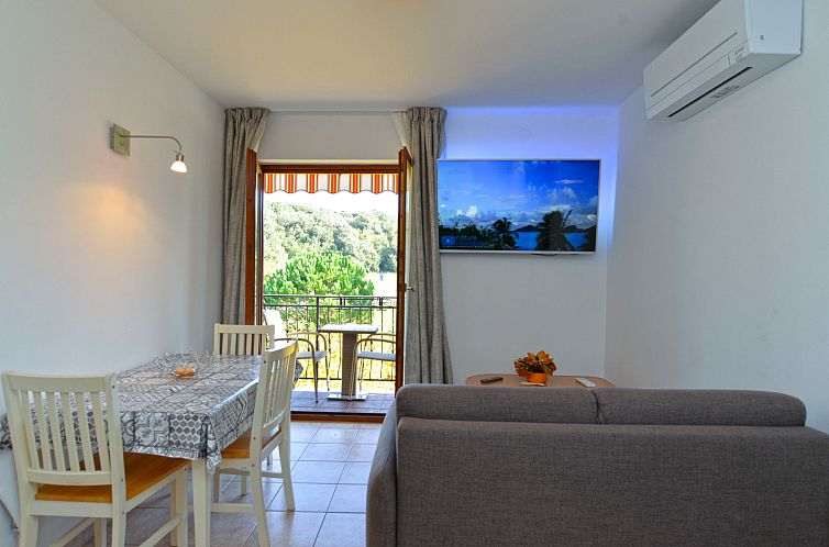 Appartement Apartment 1299
