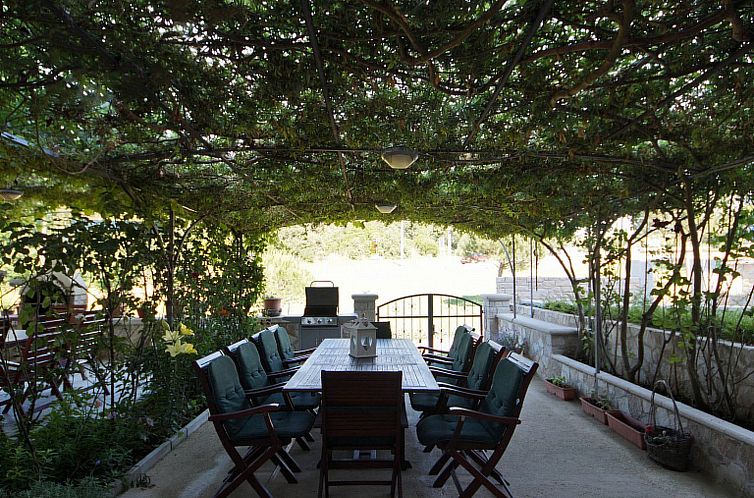Appartement Apartment 1299
