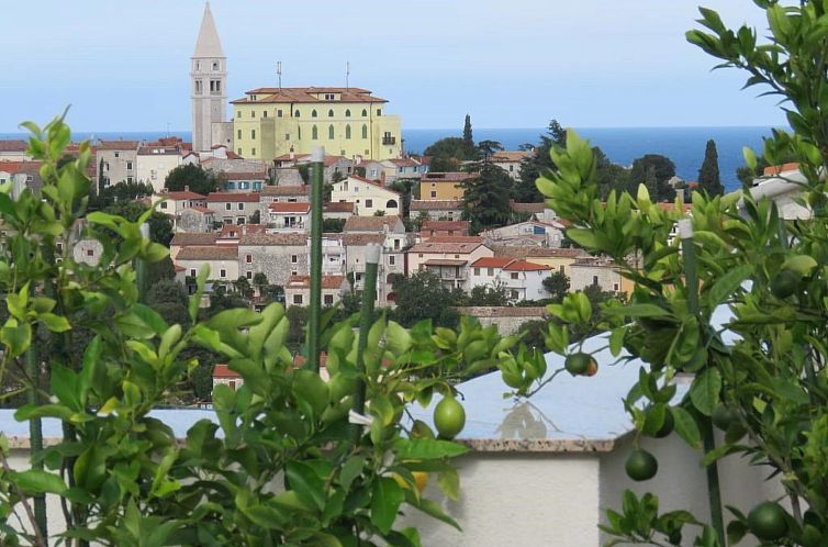 Appartement Apartments Villa Urbajs - Comfort Two-Bedroom Ap