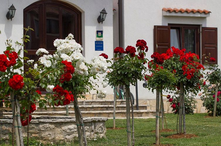 Appartement Villa Linet 7.