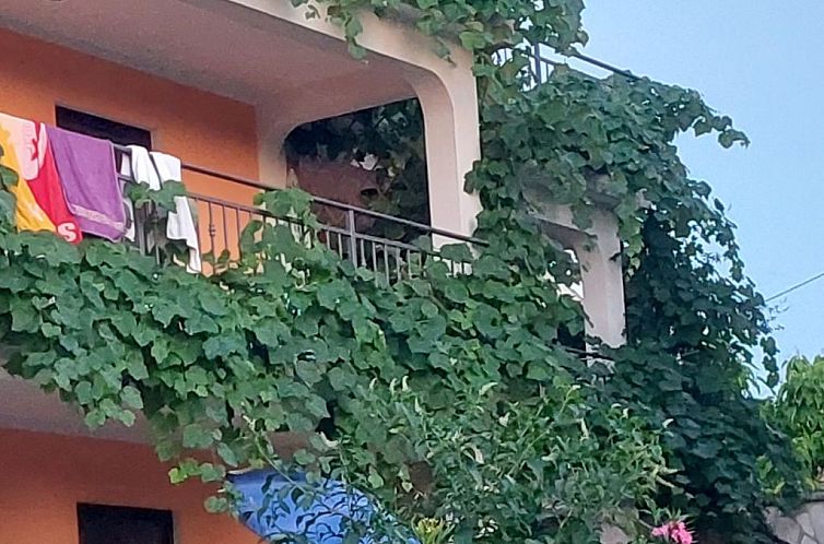 Appartement App Coki 2.,
