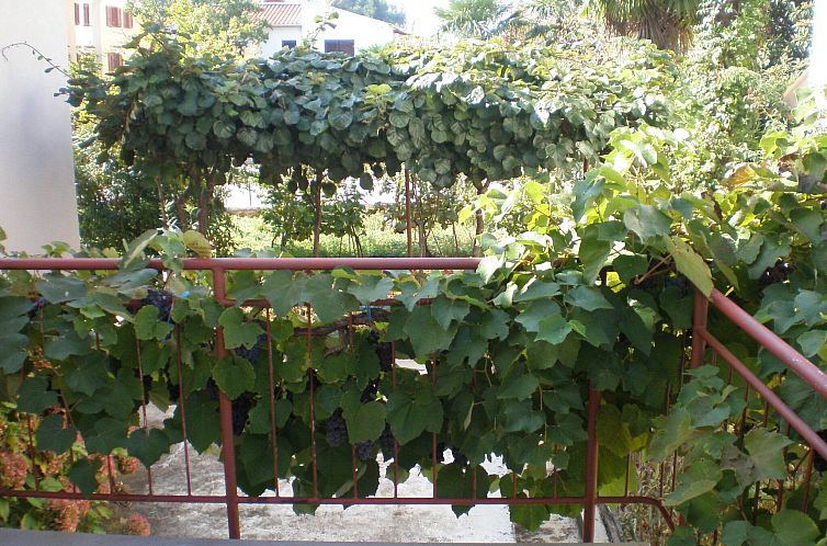 Appartement Vintage Apartment A2 Fragola / HR-11059-02