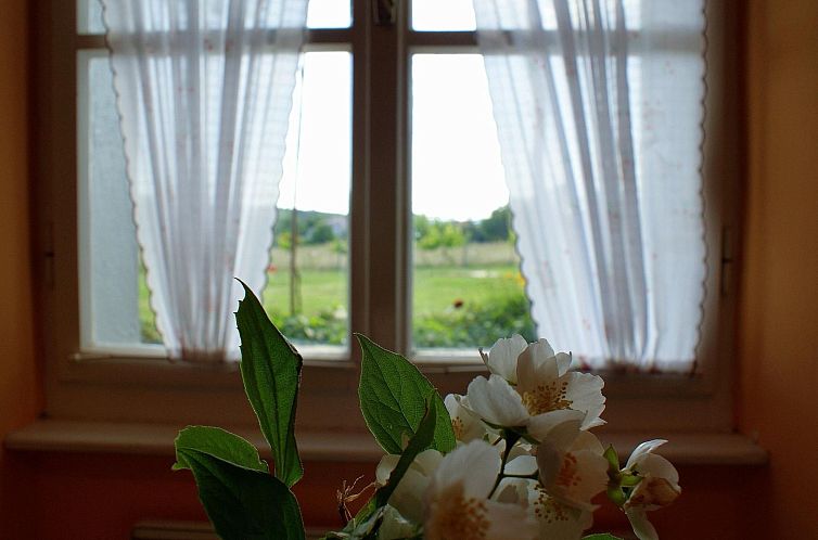 Vakantiehuis Freistehendes Haus Violeta mit weitläufigen Ga