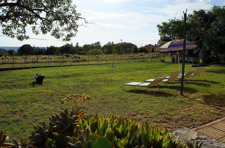 Vakantiehuis Charmantes Ferienhaus in Bartići mit Terrasse