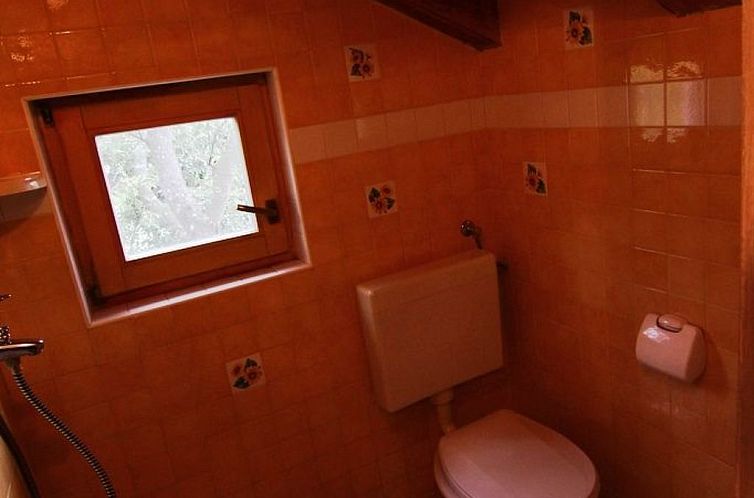 Vakantiehuis Modernes Ferienhaus in Drenje mit Privatem Gart