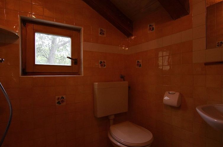 Vakantiehuis Modernes Ferienhaus in Drenje mit Privatem Gart