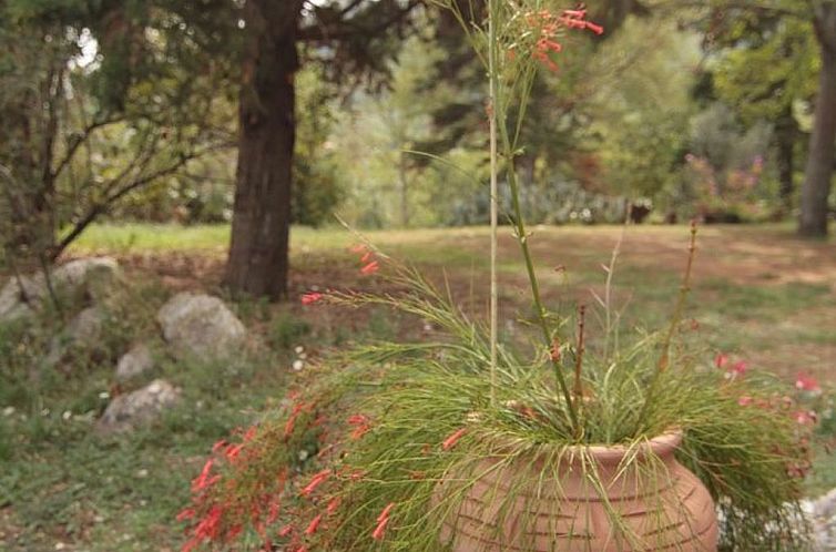 Vakantiehuis Modernes Ferienhaus in Drenje mit Privatem Gart