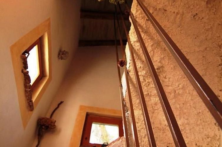 Vakantiehuis Modernes Ferienhaus in Drenje mit Privatem Gart