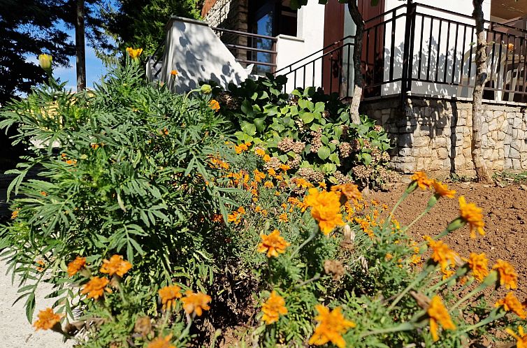 Appartement Apartment 2390