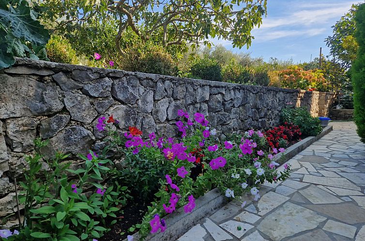 Appartement Apartment 2390