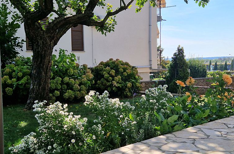 Appartement Apartment 2390