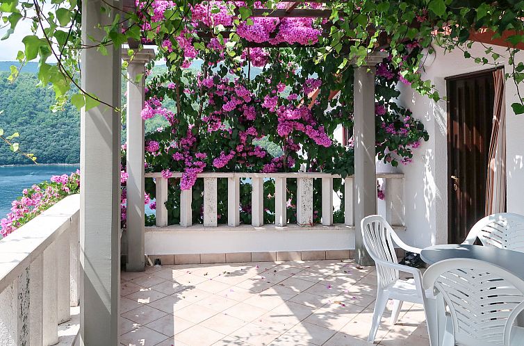 Appartement Violetta