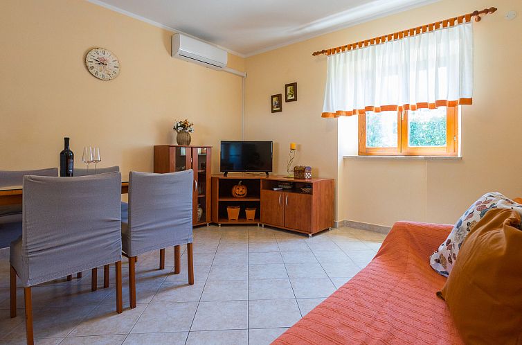 Vakantiehuis Verbanac