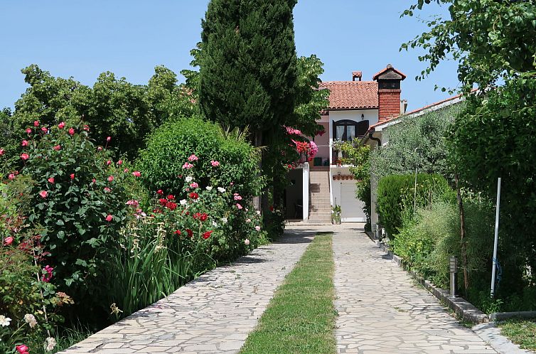 Guest house 10140150 - Apartment Istria - Appartement Villa Palma