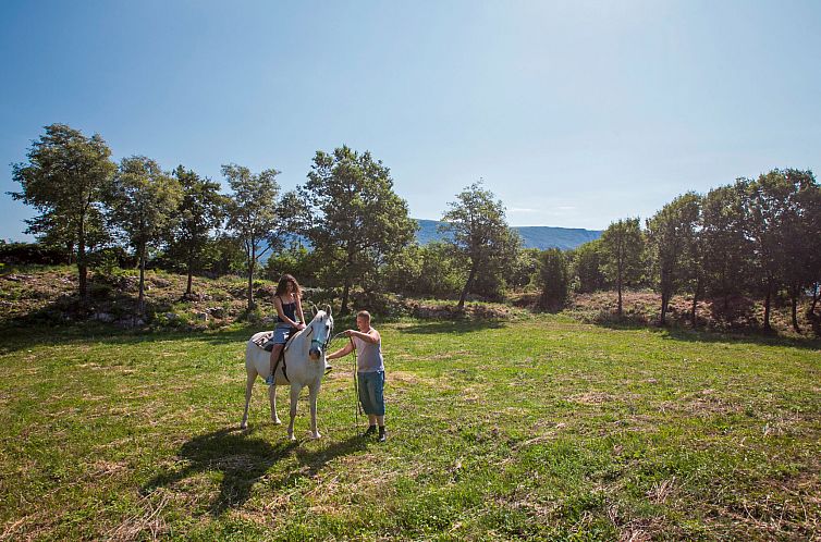 Vakantiehuis Villa Palachina Antishova