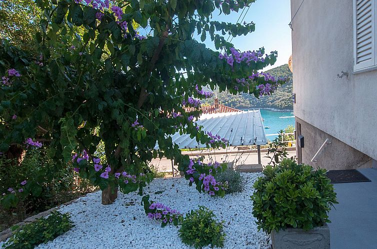 Appartement Wohnung "Ela A4" direkt am Strand