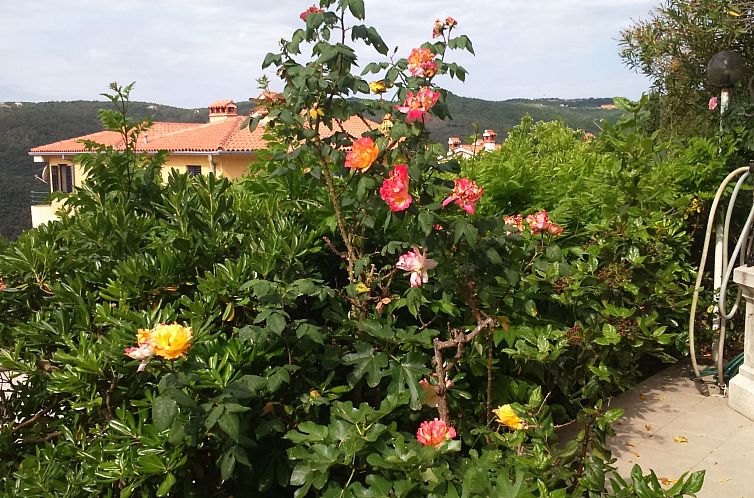 Appartement Apartment Bellavista