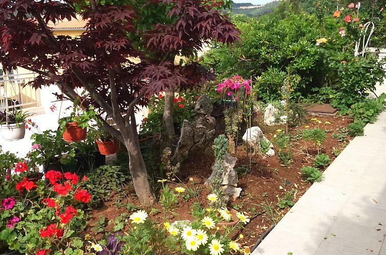 Appartement Apartment Bellavista